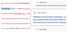 Beispiel für Expertenbearbeitung mit Verbesserungen im akademischen Stil
